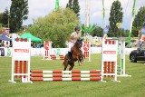 Konie rywalizują w Koninie, czyli jeździeckie zawody Konin CUP 2024. Na błoniach trwają jeździeckie zmagania