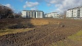 Park ulepiony z plasteliny w Poznaniu. Tak będzie wyglądała nowa przestrzeń na Łacinie? Zobacz koncepcje!