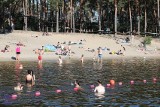 Takie kąpieliska będą we Włocławku i powiecie włocławskim w 2024 roku. Takie są terminy ich działania. Zdjęcia