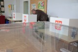 Wybory samorządowe 2024. Mamy wyniki 2. tury wyborów wójta gm. Dębowa Łąka, 21 kwietnia 
