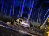 Wypadek w Dobiegniewie na DK 62. Audi uderzyło w drzewo. Jedna osoba w szpitalu. Zdjęcia
