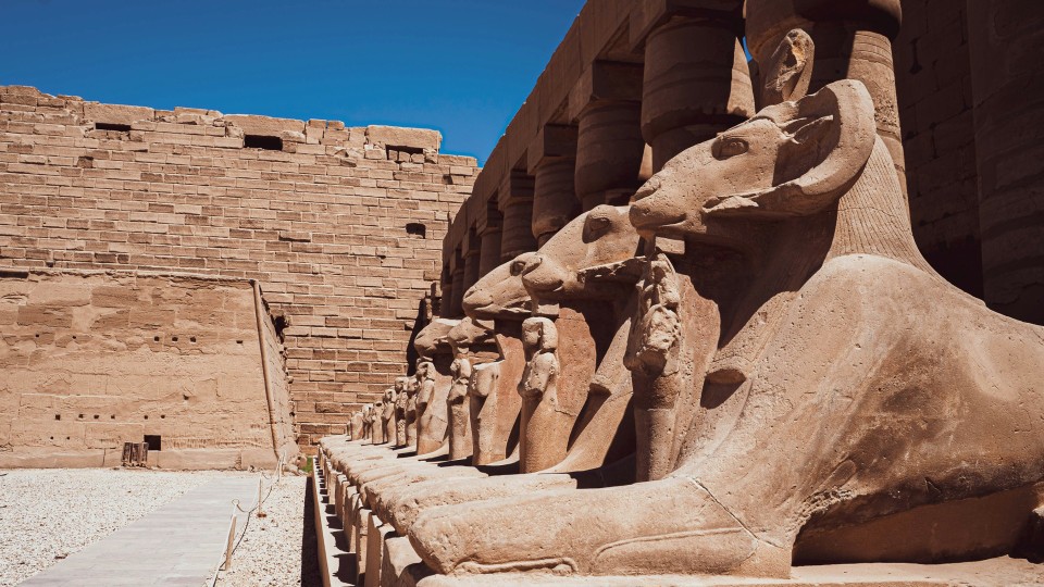 Podczas koniecznej renowacji mumii faraona Ramzesa II,...