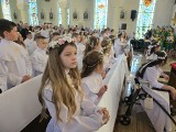 Pierwsza Komunia Święta w Parafii św. Klemensa w Głogowie. ZDJĘCIA
