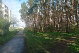 Piękne trasy spacerowe w Golubiu-Dobrzyniu i okolicach. Propozycje i zdjęcia