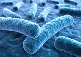 Pierwszy przypadek zakażenia bakterią Legionella w Małopolsce. Kobieta w stanie ciężkim przetransportowana została do szpitala