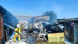 Poważny pożar w Kąkolewie. Płonęły pomieszczenia z żywicami w jednej z firm. Zobacz zdjęcia