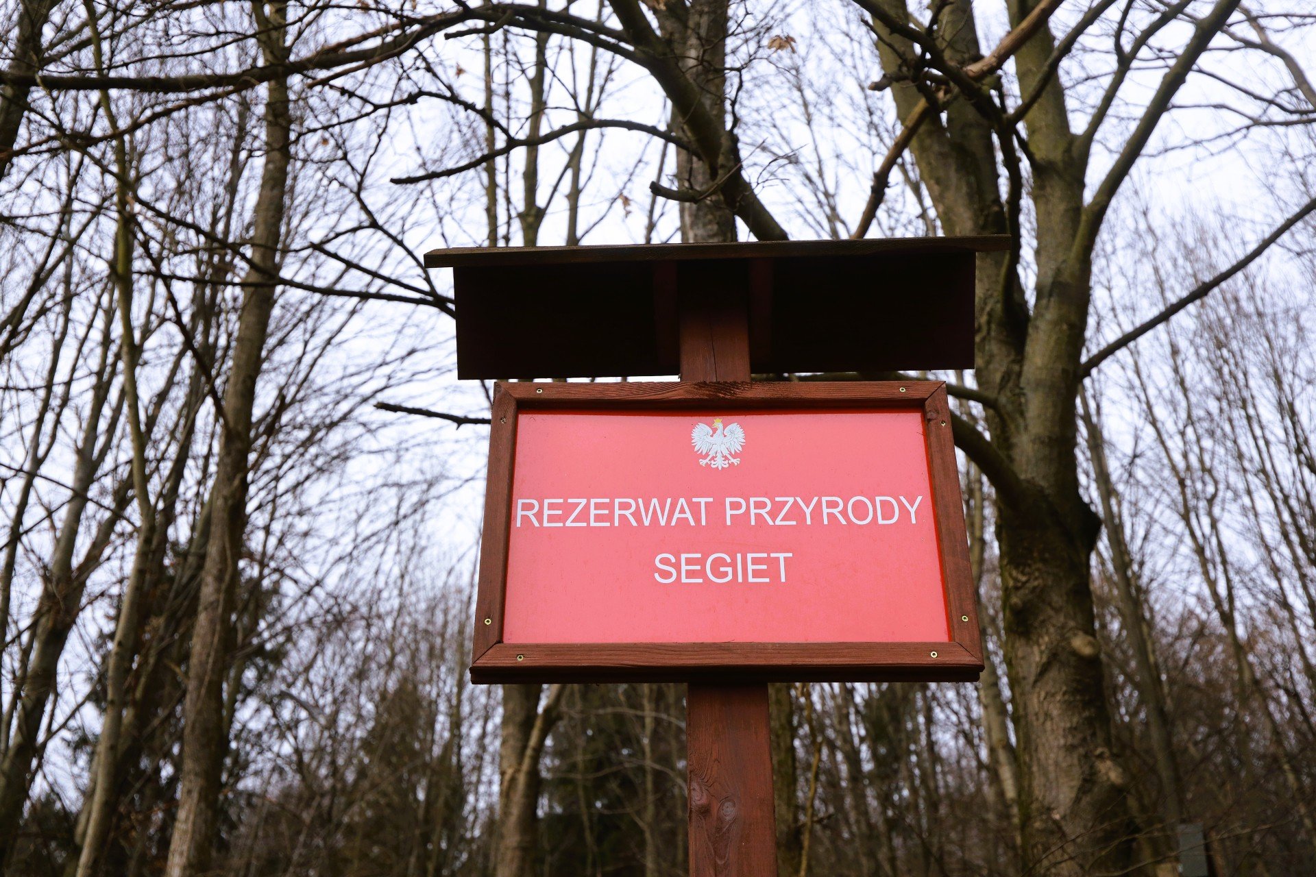 Rezerwaty przyrody województwa śląskiego. Rezerwat leśny Segiet