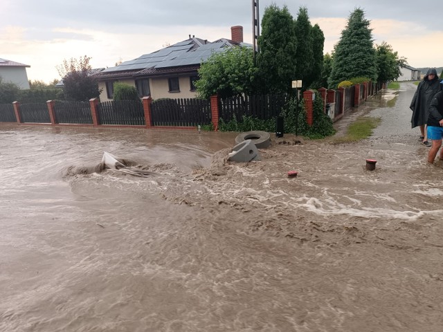 Duże szkody po ulewie w Wałdowie Szlacheckim. Woda zalała drogi, wdzierała się do domów i na posesje