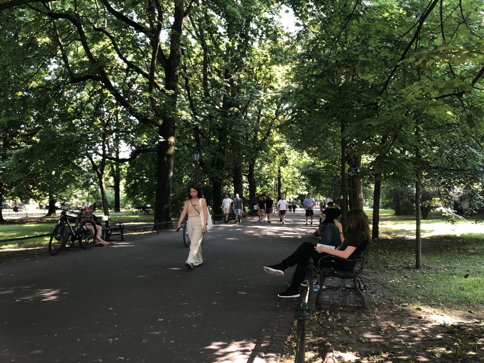 Żar wylał się na ulice Krakowa! Spacery w cieniu drzew, kurtyny wodne i wiele więcej. Sprawdź jak czas w upalny dzień spędzali mieszkańcy!