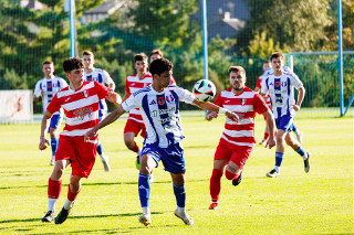 IV liga