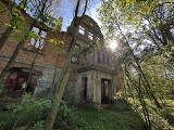 Piękny pałac ukryty w lasach Dolnego Śląska. Niszczeje w zapomnieniu