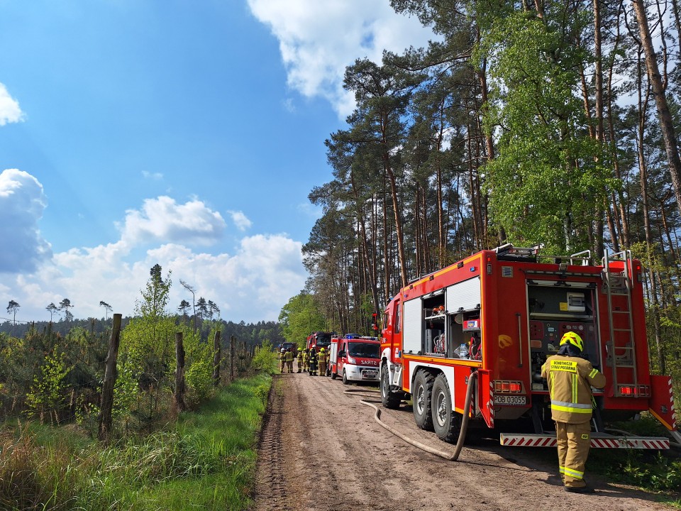 Pożar lasu w Bębnikącie? Co 12 jednostek straży pożarnych z całego powiatu obornickiego robiło w lasach Nadleśnictwa Oborniki?