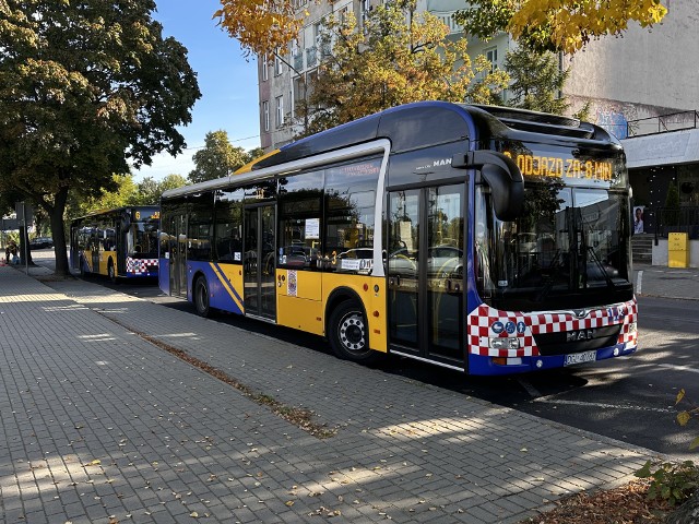 Jak podczas Majówki kursować będą miejskie autobusy w Głogowie?
