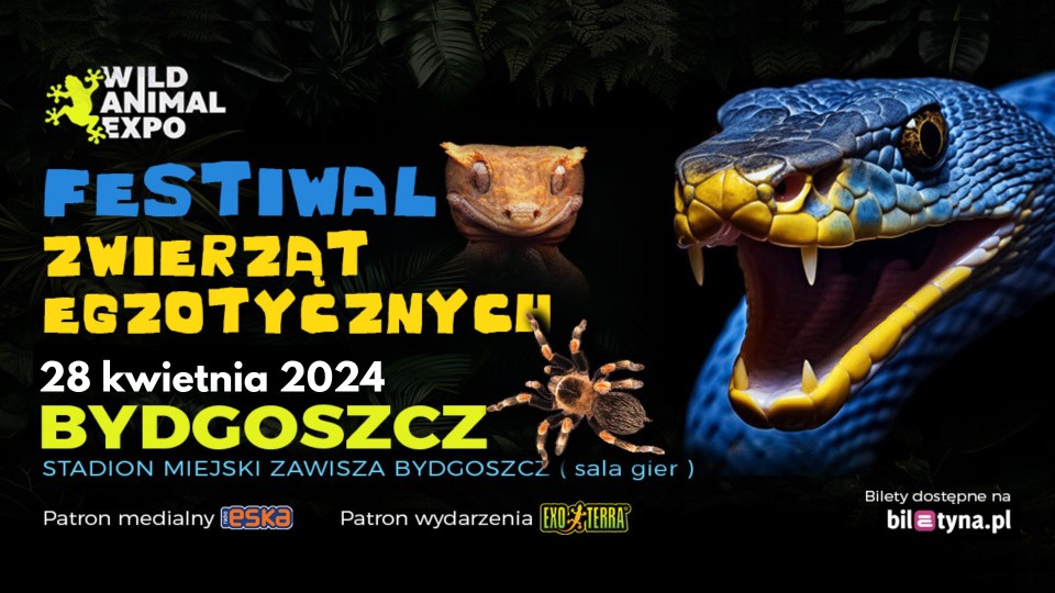 "Festiwal zwierząt egzotycznych już 28 kwietnia 2024 roku...