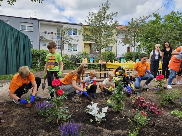 W sadzeniu roślin w "Tęczowym ogrodzie", który powstał na terenie ZS nr 24 w Bydgoszczy, wzięły udział dzieci z zerówki.