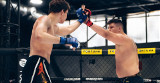 Mistrzostwa Polski MMA 2026 odbędą się w Puławach. Ruszyły zapisy!