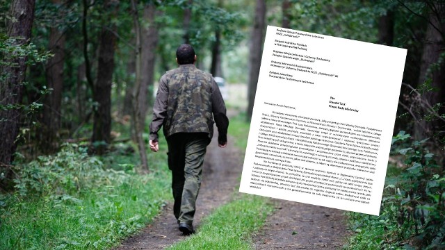 My polscy leśnicy jesteśmy obrażani, szkalowani i oszukiwani – czytamy w piśmie leśników do premiera Donalda Tuska. 