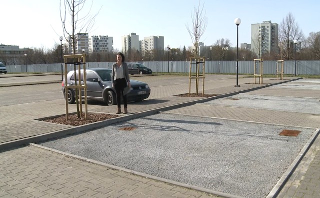 Na terenie uczelni powstał ekologiczny parking
