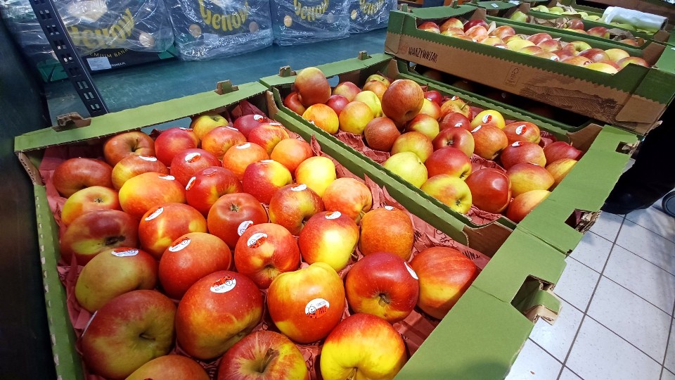 Kilogram jabłek na inowrocławskim targowisku kosztuje 3-4 zł