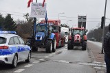 Protest rolników w Lipnie - 20 marca 2024. Zablokują krajową nr 10