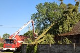 Drzewo przewróciło się na budynek. Strażacy znów w akcji!
