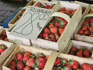Obrodziło nie tylko owocami. Tak było na giełdzie przy Andersa. Ale ceny!