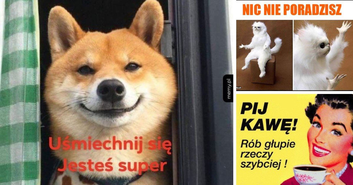 MEMY Na Dzie Dobry Weso e Obrazki mieszne Powitania Zacznij Dzie 