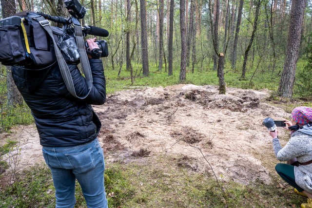 Przedstawiciele mediów w miejscu znalezienia szczątków niezidentyfikowanego obiektu wojskowego w lesie w okolicach miejscowości Zamość. Fot. Tytus Żmijewski