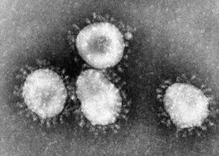 Groźny wirus z Chin. Czym jest koronawirus?