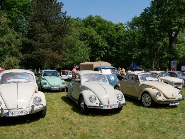 W sobotę, 4 maja, miłośnicy starych samochodów zgromadzili się najpierw w Wolsztynie, a następnie w Rakoniewicach na niezwykłym wydarzeniu - Zlocie Pojazdów Zabytkowych.