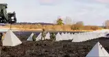 Bałtowie testują linię obrony. Ma połączyć się z polską „Tarczą Wschód”