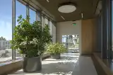 To nie hotel ani spa. Tak wygląda biuro zaprojektowane wokół człowieka