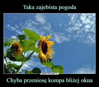 Dzień bez komputera. Memy