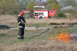 Pożar lasu w Wielkopolsce! Na miejscu z ogniem walczy dziesięć zastępów straży pożarnej