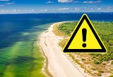 Nie jedz ryb z Bałtyku! W naszym morzu wykryto najbardziej toksyczny metal