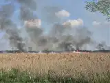 Pożar w Narwiańskim Parku Narodowym. Spłonęło 14 hektarów traw i trzciny