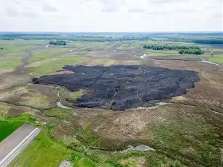 Ogień pochłonął 14 ha Narwiańskiego Parku Narodowego. Sprawą zajmie się policja