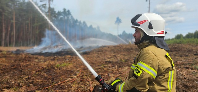 Kilkudziesięciu strażaków z Grudziądza i regionu ćwiczyło gaszenie pożaru lasu