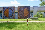 Mozaiki na terenie Warszawskiego Uniwersytetu Medycznego odzyskały swój dawny blask. Czyszczono je aż 7 godzin