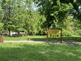 Figury rodziny żubrów w parku miejskim w Hajnówce zostały zniszczone. To kolejny akt wandalizmu