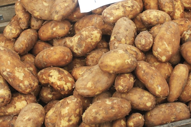 Na inowrocławskim targowisku za importowane młode ziemniaki trzeba zapłacić od 2.50 do 3.90 zł