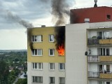 Groźny pożar w bloku w Poznaniu. Paliło się w mieszkaniu na os. Kopernika. "Spaleniu uległo całe wyposażenie pokoju"