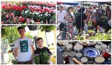 Targowisko przy ul. Kaliskiej we Włocławku - 4 maja 2024. Kwiaty, sadzonki, tanie warzywa, owoce, ubrania i nie tylko. Zdjęcia, ceny
