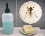 Używasz takiego mydła? Uważaj, przyciąga komary. Naukowcy wskazali alternatywę, której nie lubią te owady
