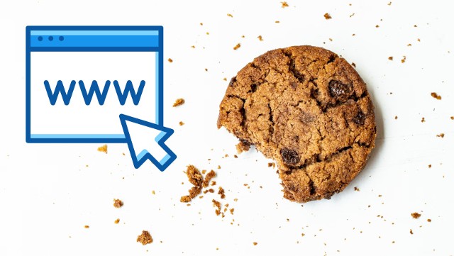 Pliki cookies to nieodłączny element współczesnego internetu. Zobacz, czym są.