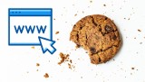 Co to są pliki cookies i dlaczego wszyscy cię o nie pytają? Zobacz, do czego służą popularne „ciasteczka”. Czy powinno je się usuwać?