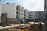 W Poznaniu powstaje nowe osiedle. Będą dopłaty do czynszów. Zobacz zdjęcia z budowy