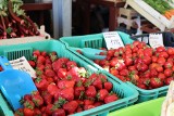 Jak wyglądają ceny truskawek na targowisku w Gnieźnie?