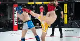 Rekordowe Mistrzostwa MMA. Ponad pół tysiąca fighterów i tyleż walk