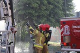 Ulatniający się gaz w budynku wielorodzinnym w miejscowości Klęka! Strażacy ewakuowali 12 osób. Dwie kobiety trafiły do szpitala